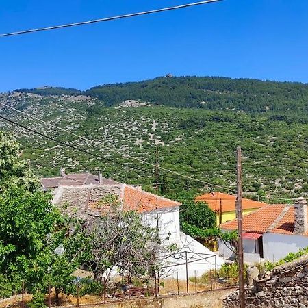 Stella House Villa Theologos  Exterior photo